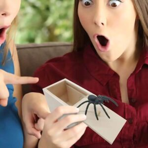 Wooden scare box with a surprise spider inside.